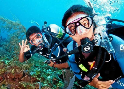 Best Scuba Diving At Grand Island